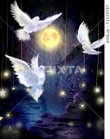 星と月が輝く夜空を舞う三羽の白い鳩の美しいイラストのイラスト素材
