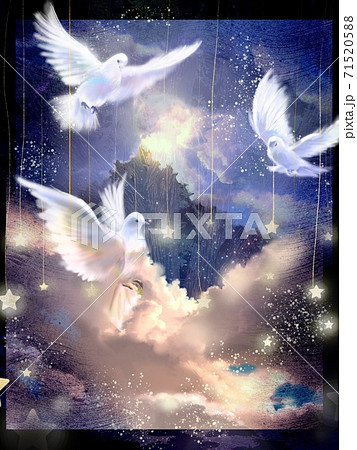 星と月が輝く夜空を舞う三羽の白い鳩の美しいイラストのイラスト素材 7155