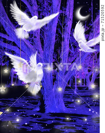 星と月が輝く夜空を舞う三羽の白い鳩の美しいイラストのイラスト素材