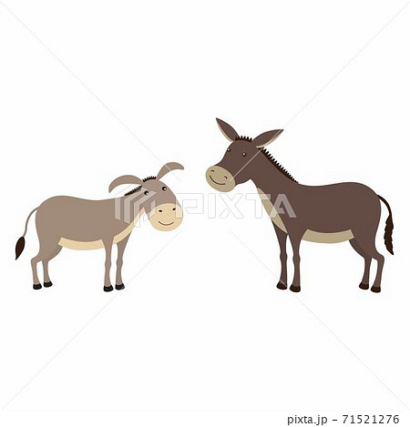 Donkey And Mule Differences Vector のイラスト素材