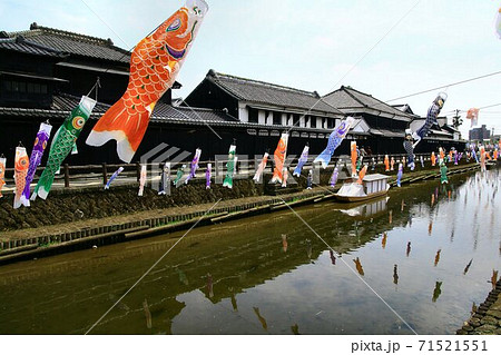 蔵の街 栃木 巴波川を泳ぐ鯉のぼりの写真素材