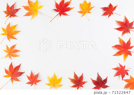 紅葉 もみじ 四角フレーム 飾り枠の写真素材