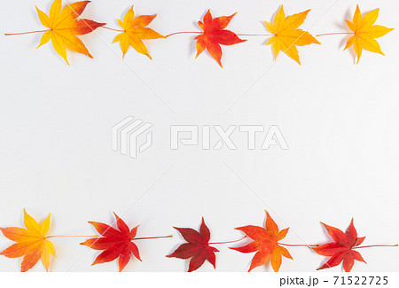 紅葉 もみじ シンプルな上下フレーム 飾り枠の写真素材