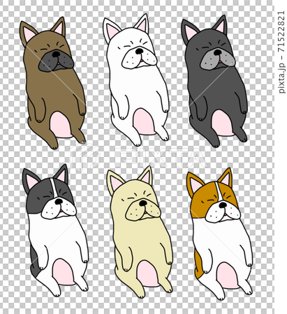 法國鬥牛犬坐著睡覺 71522821