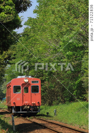新緑の中を駆け抜ける関東鉄道キハ100形気動車(元国鉄キハ30形)_2013/5/4撮影 新緑の中を駆け抜ける関東鉄道キハ100形気動車(元国鉄キハ30形)_2013/5/4撮影 71522836
