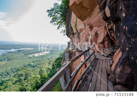 pathway , Thailand, Backgrounds, Beauty, Beauty In Nature 71523188
