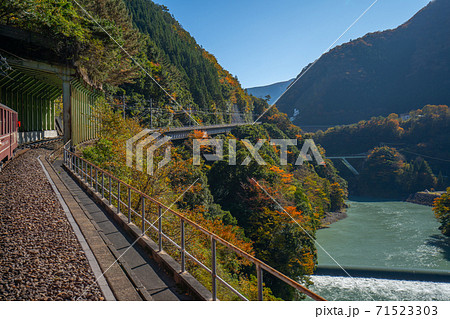 大井川鉄道 井川線 車窓からの紅葉 大井川鉄道 井川線 車窓からの紅葉 71523303