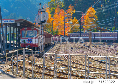 大井川鉄道 井川線 紅葉の写真素材