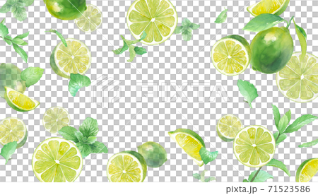 爽やかなライムとミントの水彩イラスト フレームデザイン 背景 のイラスト素材