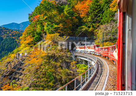 大井川鉄道　井川線　車窓からの紅葉 71523715