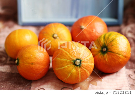 small pumpkin still life halloween closeup photo 71523811