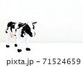 年賀状素材、牛のぬいぐるみ 年賀状素材、牛のぬいぐるみ 71524659