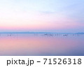 夜明けの印旛沼 71526318