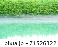 朝もやの大正池 71526322