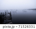 雨の印旛沼 71526331