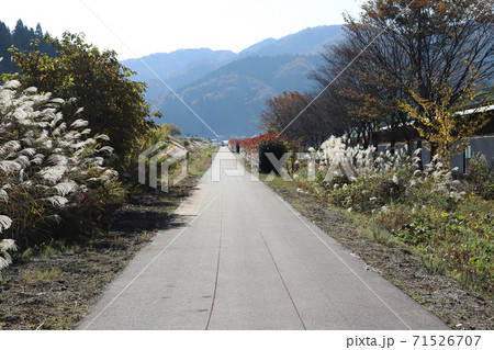 永平寺参ろーど(福井県 吉田郡 永平寺町) 永平寺参ろーど(福井県 吉田郡 永平寺町) 71526707