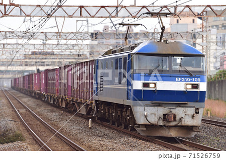 東海道本線 平塚 JR貨物 EF210-109(吹田) 東海道本線 平塚 JR貨物 EF210-109(吹田) 71526759