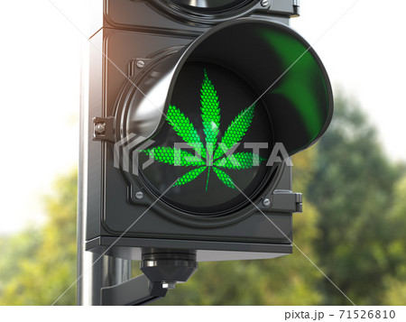Cannabis Leaf On Green Traffic Light Cannabis のイラスト素材