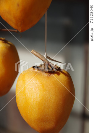 干し柿作り 71528046