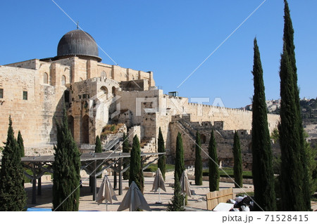 南の壁考古学公園 71528415