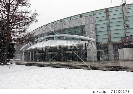 札幌 中島公園 冬の雪の日 札幌 中島公園 冬の雪の日 71530173