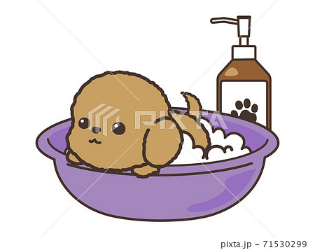 体を洗う犬とシャンプーボトルのイラスト素材
