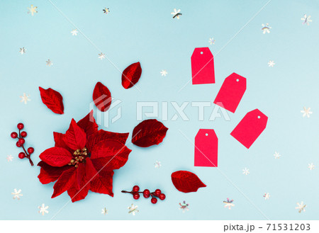 Winter Sale concept - Christmas flower poinsettia, red paper tags and snowflakes on blue background 71531203