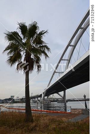 岸和田大橋（阪南港／大阪府岸和田市） 71532946