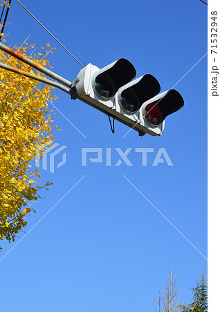 青空･イチョウ･信号機（愛知県名古屋市） 71532948