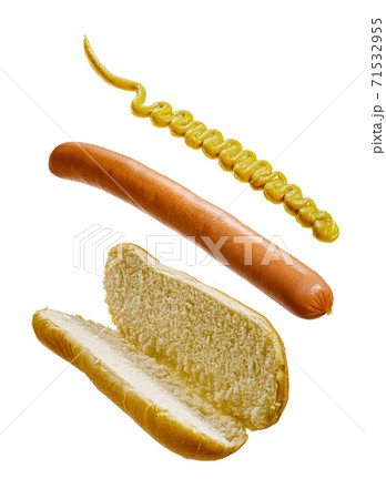Hot dog ingredients floating isolated 71532955