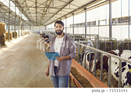 Livestock manager or farm owner with clipboard in hand standing in barn with calves Livestock manager or farm owner with clipboard in hand standing in barn with calves 71533141