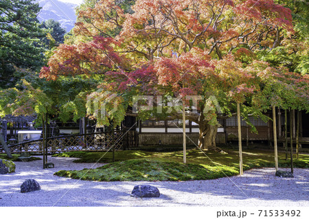 まもなく見頃を迎える紅葉が美しい雷山千如寺大悲王院（福岡県糸島市） 71533492