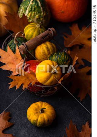 Various decorative pumpkins. Autumn concept 71534046