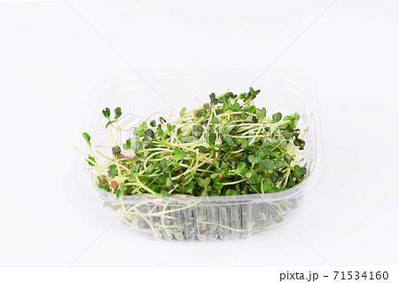Microgreens bowl on white marble background. superfood concept 71534160