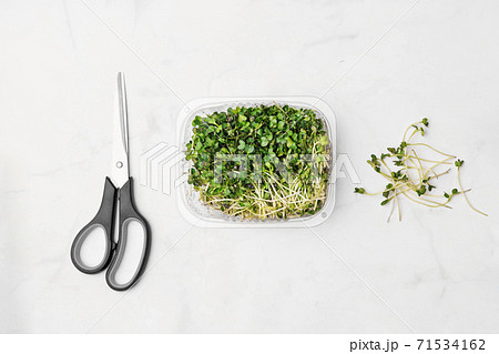Microgreens bowl on white marble background. superfood concept 71534162