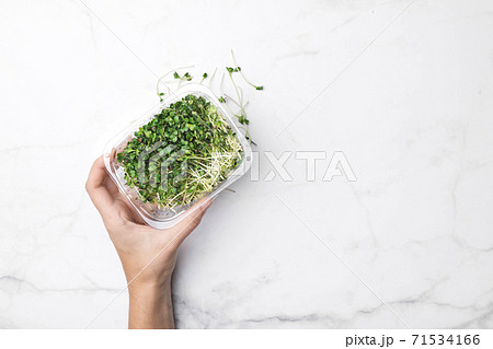 Microgreens bowl on white marble background. superfood concept 71534166