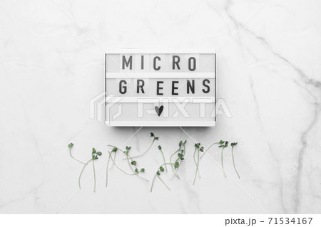 Top view of microgreens on white marble table. Healthy superfood concept 71534167