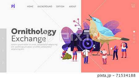 Birding, Ornithology Landing Page Template. Ornithologists Using Binoculars, Camera and Equipment Watching Birds 71534188