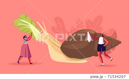 Tiny Female Characters Care Of Huge Achatina のイラスト素材