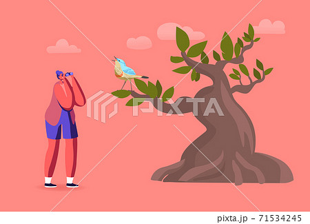 Female Ornithologist with Binoculars Watching Bird on Tree, Birdwatching Hobby, Outdoor Activity, Explore Nature. 71534245