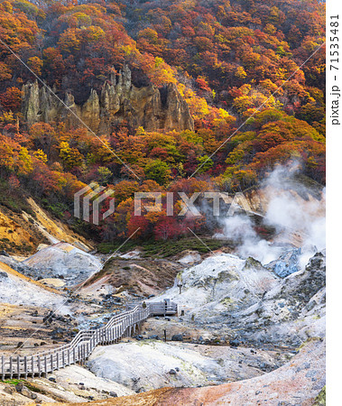 登別温泉 地獄谷の紅葉 登別温泉 地獄谷の紅葉 71535481
