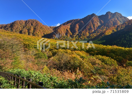 大山の紅葉 大山の紅葉 71535809