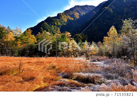 上高地の紅葉 上高地の紅葉 71535821