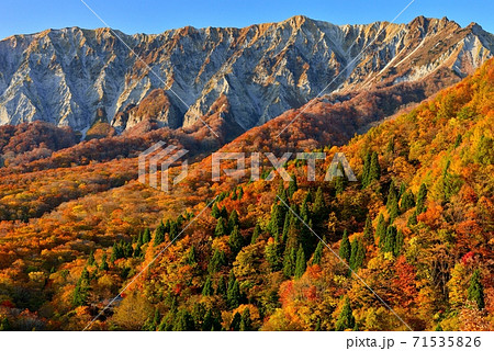 大山の紅葉 71535826
