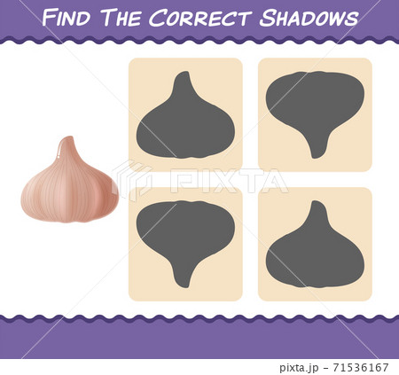 Find the correct shadows of cartoon garlic. Searching and Matching game. Educational game for pre shool years kids and toddlers 71536167