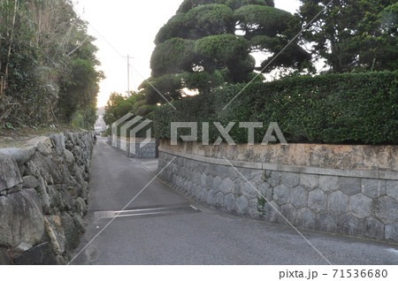 石垣の散歩道 71536680