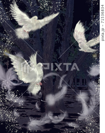 真っ暗な宇宙に舞う三羽の白い鳩と羽のイラストのイラスト素材