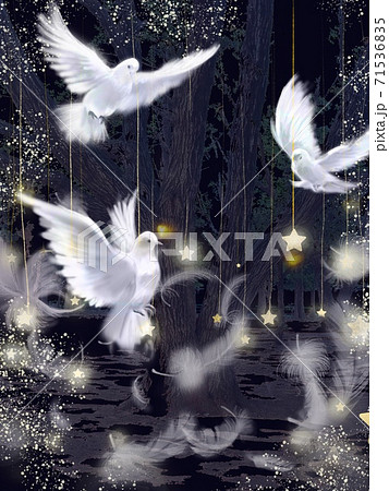 真っ暗な宇宙に舞う三羽の白い鳩と羽と流れ星のイラストのイラスト素材