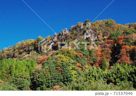 奇岩紅葉 71537040