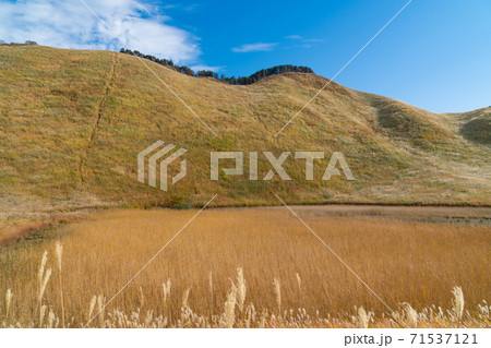 亀山とお亀池（曽爾高原） 71537121